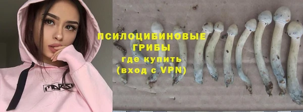 jwh Арсеньев